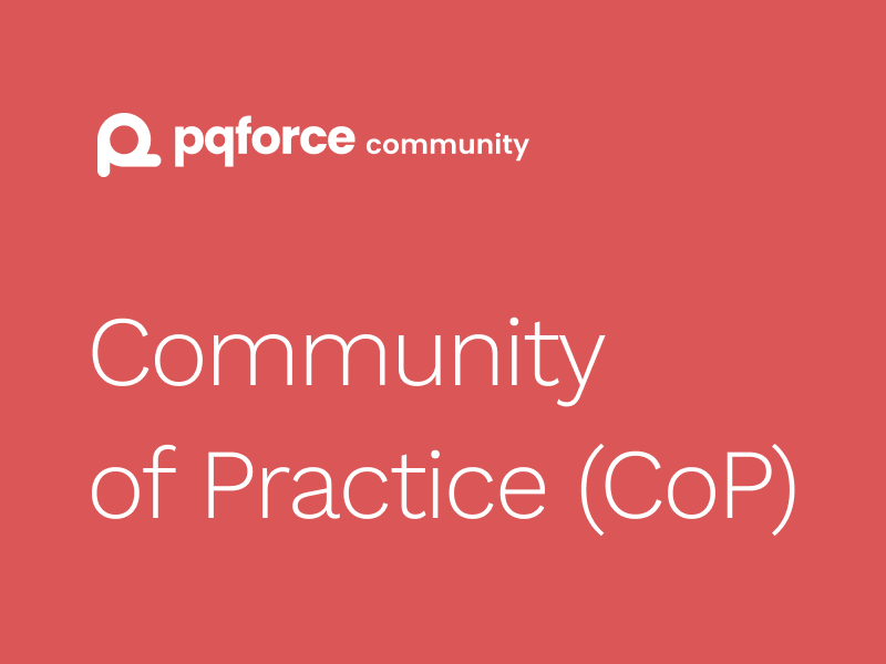 Read more about the article Portfoliomanagement – PQFORCE Community of Practice